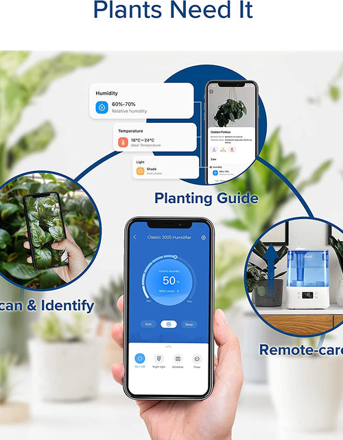 Load image into Gallery viewer, Humidifiers for Bedroom Large Room Home, 6L Top Fill Cool Mist Air Ultrasonic for Plants Indoor with Essential Oils Diffuser for Baby Kids, Smart Control with Humidistat, Quiet Easy Clean, Blue
