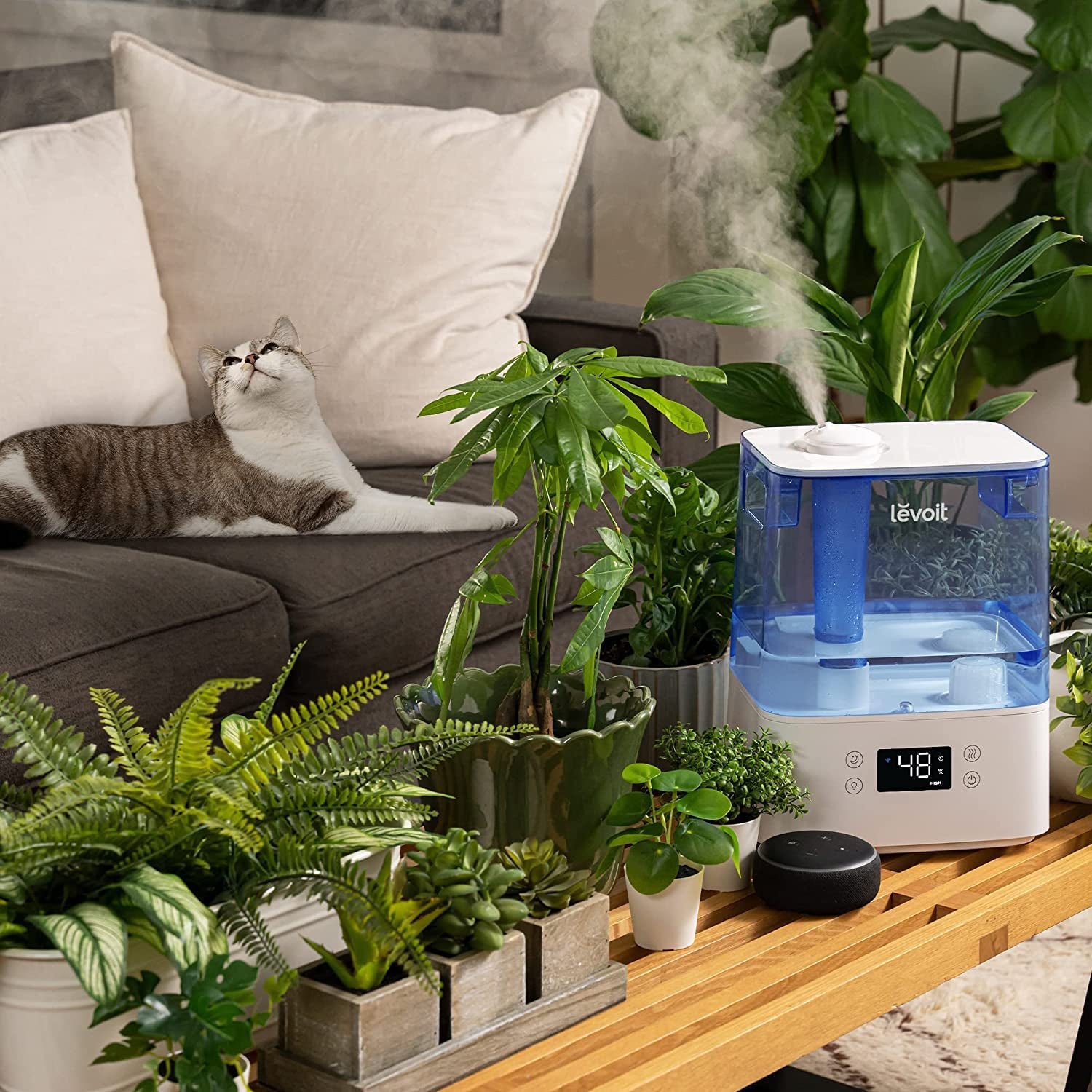 Humidifiers for Bedroom Large Room Home, 6L Top Fill Cool Mist Air Ultrasonic for Plants Indoor with Essential Oils Diffuser for Baby Kids, Smart Control with Humidistat, Quiet Easy Clean, Blue